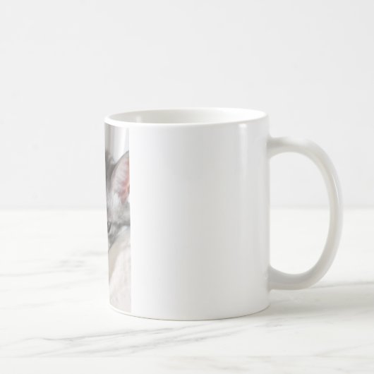 Foto van Moira (kat) Koffiemok (Rechts)