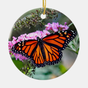 Foto van monarch keramisch ornament