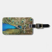 Foto van Mooie Pauw met Uitgespreide Veren Bagagelabel (Voorkant horizontaal)