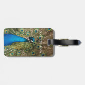 Foto van Mooie Pauw met Uitgespreide Veren Bagagelabel (Achterkant horizontaal)