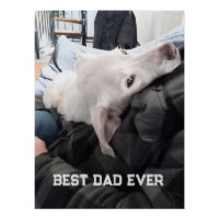 Foto van Mooie Witte Hond met Papa Vaderdag
