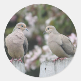 Foto van Mourning Doves Ronde Sticker