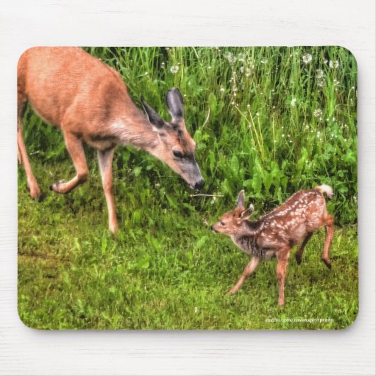 Foto van Mule Deer Fawn & Moeder Wildlife Muismat (Voorkant)