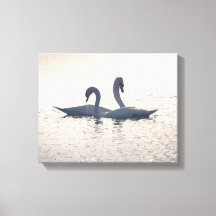 Foto van Natuur voor cursussen