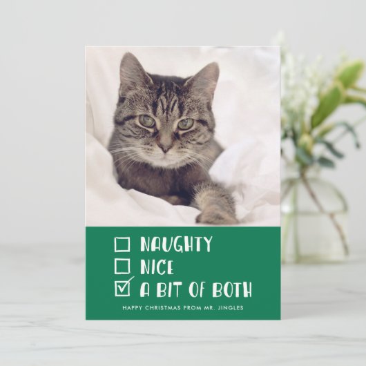 Foto van Naughty or Nice of Beide Funny Pet Holida Feestdagenkaart (Staand voorkant)