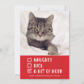 Foto van Naughty or Nice of Beide Funny Pet Holida Feestdagenkaart (Voorkant)