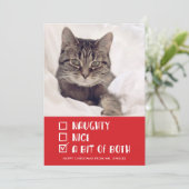 Foto van Naughty or Nice of Beide Funny Pet Holida Feestdagenkaart (Staand voorkant)