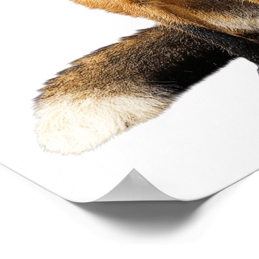 Foto van Neursery Fox Blowable Bubble Cute Animal  Poster (Hoek)