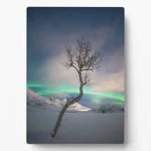 Foto van Northern Lights