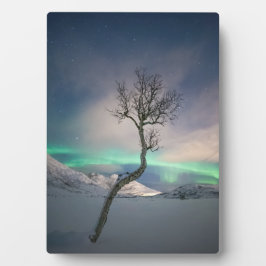 Foto van Northern Lights Fotoplaat