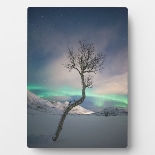 Foto van Northern Lights Fotoplaat (voorkant)