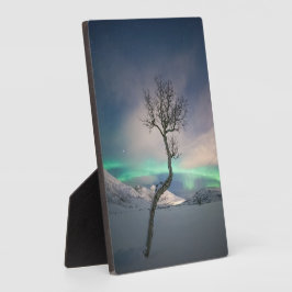 Foto van Northern Lights Fotoplaat