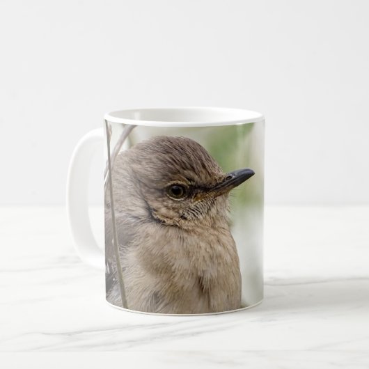 Foto van Northern Mockingbird Portrait Bird Koffiemok (Voorkant links)