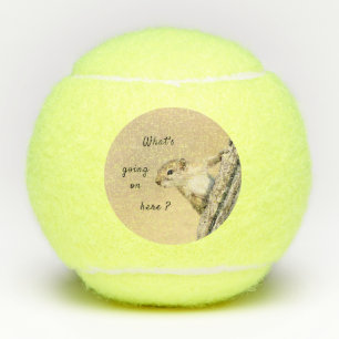 Foto van Nosy en schattig Tree Squirrel Tennisballen
