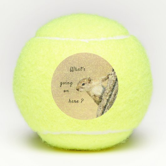 Foto van Nosy en schattig Tree Squirrel Tennisballen (Voorkant)