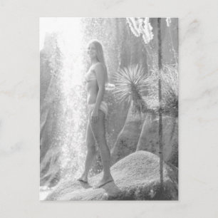 Foto van oerwoud Land in Panama City Bikini Briefkaart