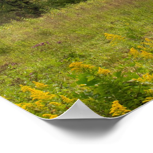 Foto van Old Country Barn Poster (Hoek)