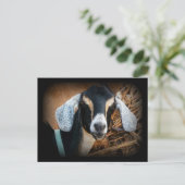 Foto van Old Goat Nubian Portrait Briefkaart (Staand voorkant)