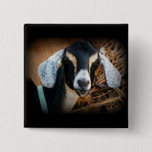Foto van Old Goat Nubian Portrait Vierkante Button 5,1 Cm