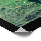 Foto van Old Horse op Film Digital Art Poster (Hoek)