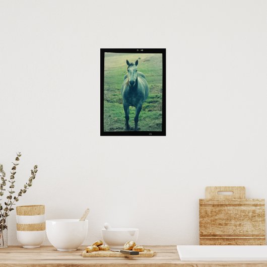 Foto van Old Horse op Film Digital Art Poster (Keuken)
