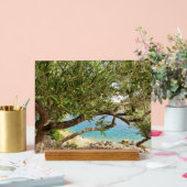 Foto van olijfboom aan Middellandse Zee Acryl Bord (Huwelijk)