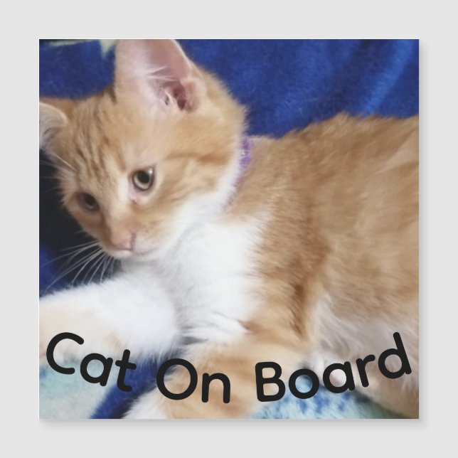 foto van oranje kat op het bord, auto magneet (Voorkant)