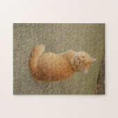 Foto van Oranje Kitten Legpuzzel (Horizontaal)