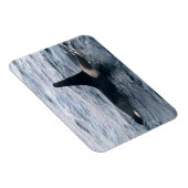 Foto van Orca-walvis - herrijzingsbaai - Ontworpen Magneet (Rechterzijde)