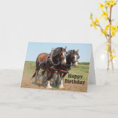 Foto van Paarden Clydesdale Farming Birthday Kaart (Gele Bloem)