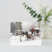 Foto van Paarden en Buggy in Central Park Winter Briefkaart (Staand voorkant)