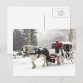 Foto van Paarden en Buggy in Central Park Winter Briefkaart (Voorkant / Achterkant)