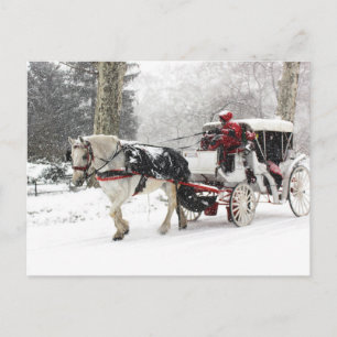 Foto van Paarden en Buggy in Central Park Winter Briefkaart