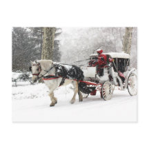 Foto van Paarden en Buggy in Central Park Winter