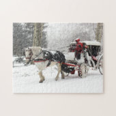 Foto van Paarden en Buggy in Central Park Winter Legpuzzel (Horizontaal)