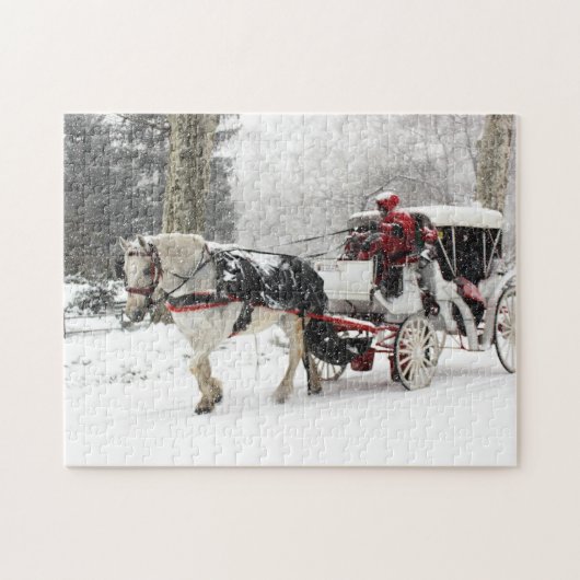Foto van Paarden en Buggy in Central Park Winter Legpuzzel (Horizontaal)