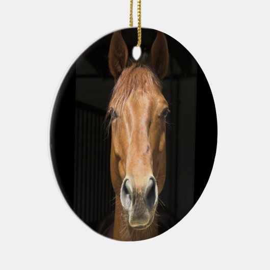 Foto van paardengezicht keramisch ornament (Rechts)