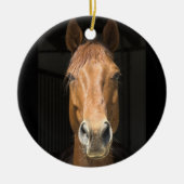 Foto van paardengezicht keramisch ornament (Voorkant)