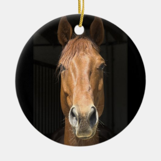 Foto van paardengezicht keramisch ornament (Voorkant)