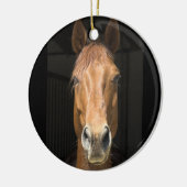 Foto van paardengezicht keramisch ornament (Links)