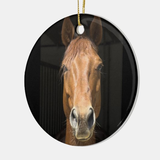 Foto van paardengezicht keramisch ornament (Links)