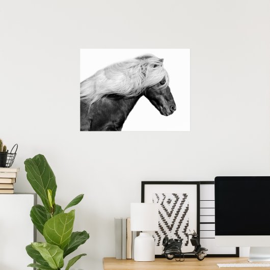 Foto van paardenpesteren, zwart en wit poster (Thuiskantoor)