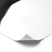 Foto van paardenpesteren, zwart en wit poster (Hoek)