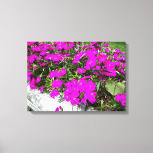 Foto van paarse bloemen canvas afdruk