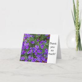 Foto van Paarse Phlox-bloemen op een Hartelijk dan Kaart