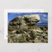 Foto van paddenstoel Rock Briefkaart (Voorkant / Achterkant)