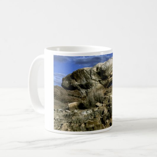 Foto van paddenstoel Rock Koffiemok (Voorkant links)