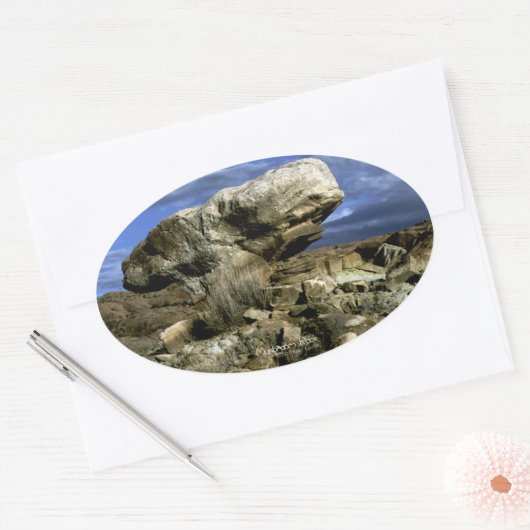 Foto van paddenstoel Rock Ovale Sticker (Envelop)