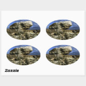 Foto van paddenstoel Rock Ovale Sticker (Vel)