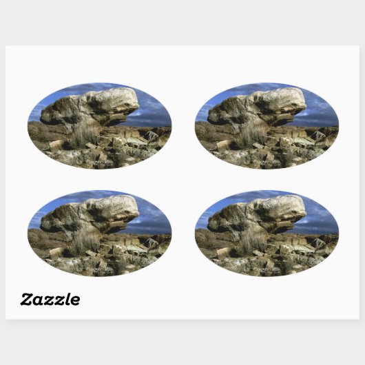 Foto van paddenstoel Rock Ovale Sticker (Vel)